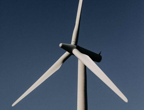 Energia wiatrowa: przełącz się na dostawcę czystej energii